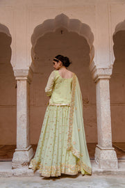 Georgette Kachi Patti Shagun Pista Lehenga With Dupatta 6