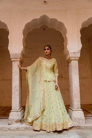 Georgette Kachi Patti Shagun Pista Lehenga With Dupatta 4