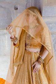 Tussar Satin Swara Beige Lehenga With Organza Dupatta 5