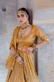 Tussar Satin Swara Beige Lehenga With Organza Dupatta 2