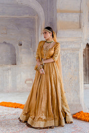 Tussar Satin Swara Beige Lehenga With Organza Dupatta 7