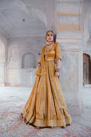 Tussar Satin Swara Beige Lehenga With Organza Dupatta 3