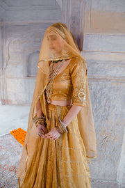 Tussar Satin Swara Beige Lehenga With Organza Dupatta 6